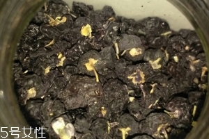 黑枸杞還還是紅枸杞好？各有千秋