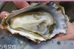 生蠔會(huì)有寄生蟲嗎？不生吃就沒關(guān)系