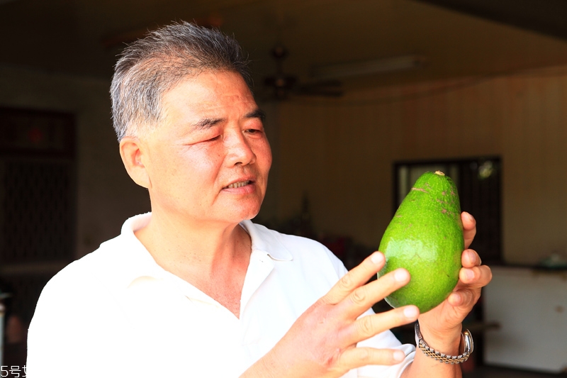 牛油果怎么挑 牛油果怎么選