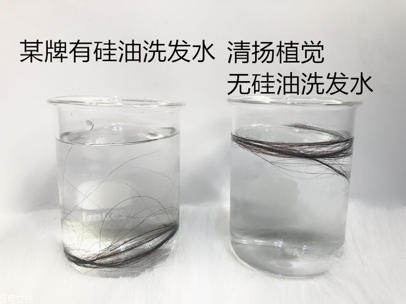 清揚(yáng)0硅油洗發(fā)水好用嗎？自帶高級(jí)感香調(diào)