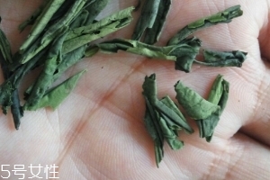 六安瓜片是紅茶還是綠茶？