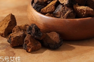 樺樹茸是樹黃嗎？樺樹茸屬于什么