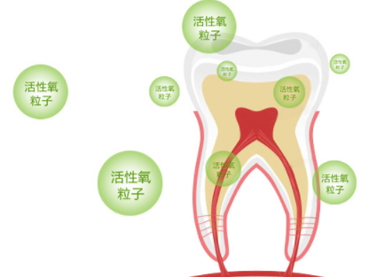 牙貼怎么分上下牙貼？牙貼怎么分正反