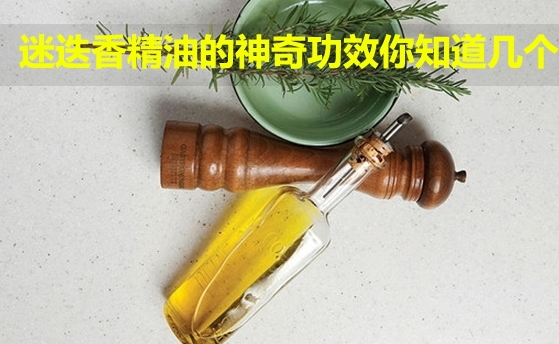 迷迭香精油的功效與作用 迷迭香精油的好處