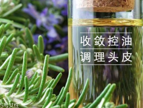 迷迭香精油怎么用？迷迭香精油使用注意事項(xiàng)