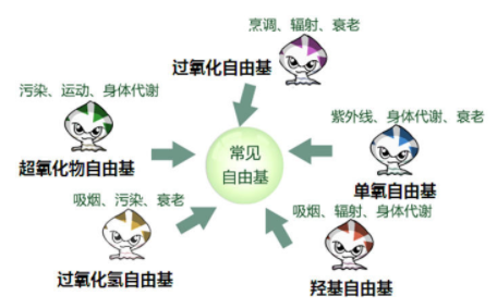 干性皮膚怎么抗衰老 干皮抗氧化牢記三個(gè)要點(diǎn)