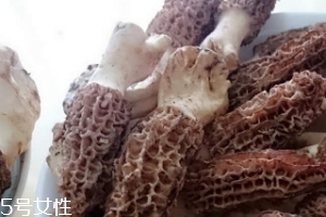 羊肚菌是什么東西？羊肚菌能吃嗎？