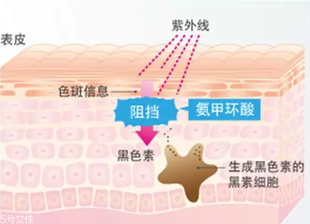 祛斑美白什么產品最有效 日常祛斑小妙招