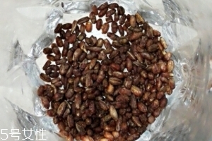 青稞茶怎么沖泡？青稞茶沖泡方法