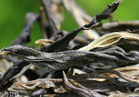 昔歸古樹茶有哪些特點 昔歸古樹茶價格