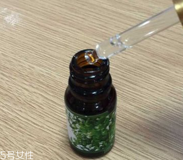 天竺葵精油能去口臭嗎 天竺葵精油去口臭的用法