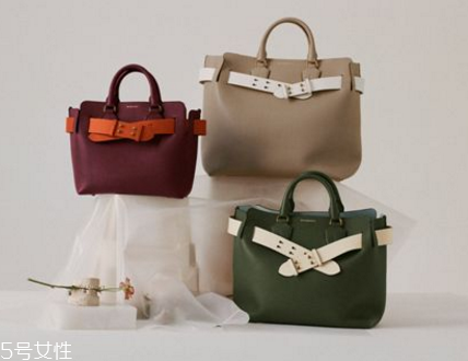 burberry the belt bag多少錢？巴寶莉貝爾特包專柜價(jià)格