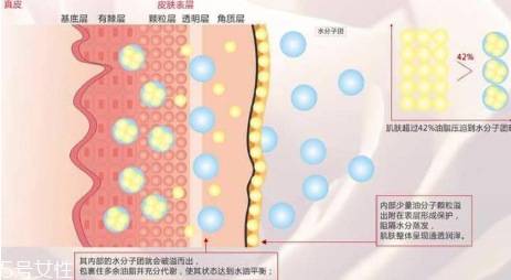 頑固痘痘怎么消除？油皮為什么反復(fù)爆痘？