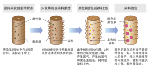 長(zhǎng)效染發(fā)劑和短效染發(fā)劑哪個(gè)好 2種染發(fā)劑大pk