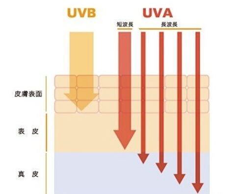 uva和uvb哪個(gè)更可怕 uva最可怕能致癌