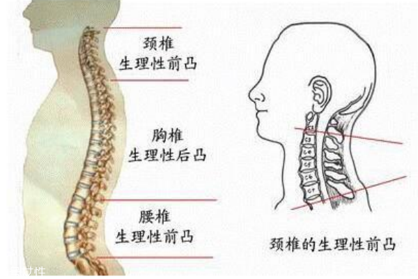 長短腿怎么矯正 長短腿的危害