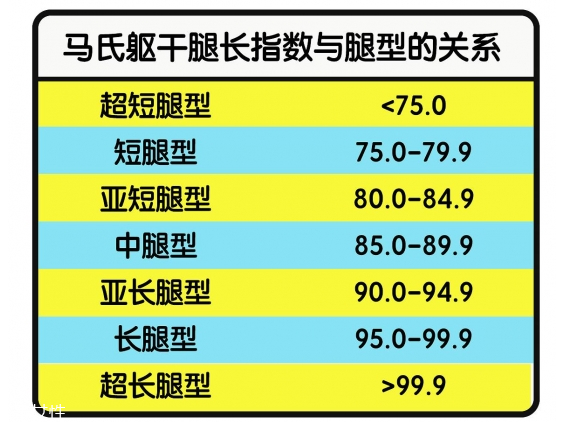 什么樣的腿算長(zhǎng) 你知道怎樣是真正的腿精