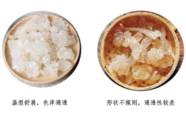 雪燕是什么顏色 雪燕好壞對(duì)比圖