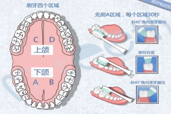 飛利浦電動牙刷怎么用 手把手教你如何使用電動牙刷