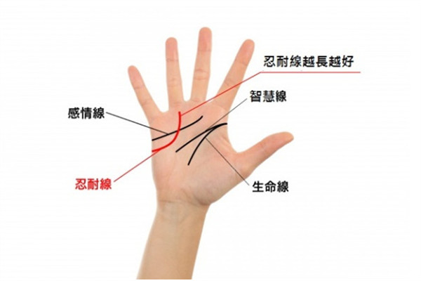 2019年手相看運勢 盤點強勢三手相