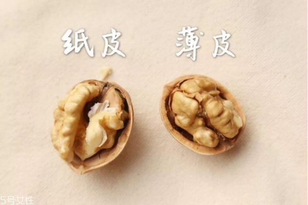 薄皮核桃價(jià)格多少錢(qián)一斤 薄皮核桃的功效與作用