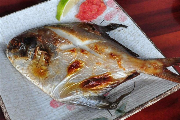 白鯧魚和金鯧魚哪個(gè)好 白鯧魚和金鯧魚區(qū)別對(duì)比