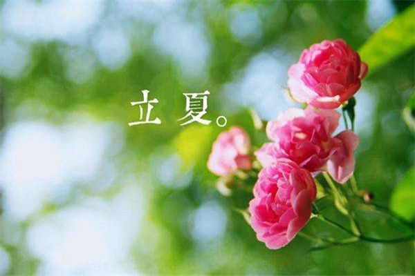 立夏風(fēng)俗吃什么 立夏怎么吃好