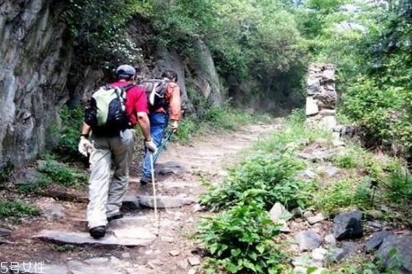 吃早餐后要多久才能爬山 爬山注意事項