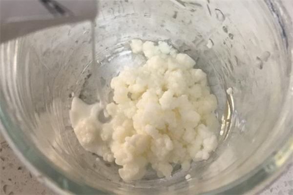 雪蓮菌多少錢一斤 雪蓮菌價格