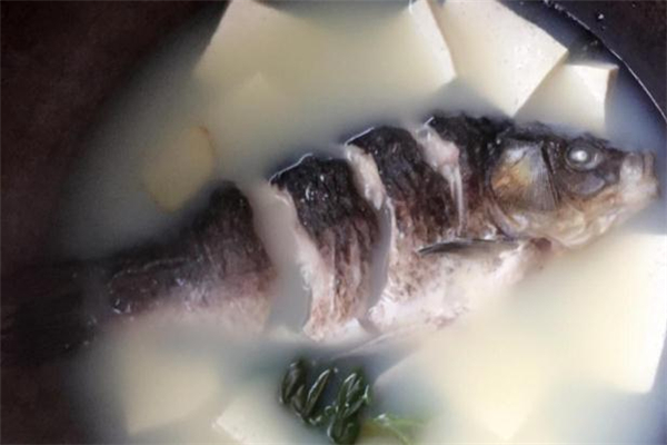 鯽魚豆腐湯可以豐胸嗎 鯽魚豆腐湯對(duì)胸部有什么好處