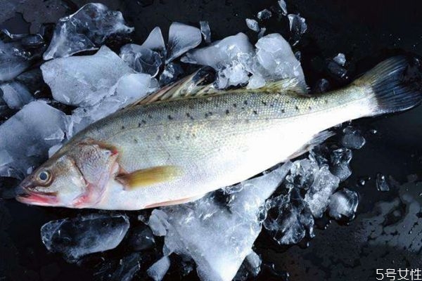 吃海鱸魚(yú)有什么好處呢 海鱸魚(yú)怎么做好吃呢