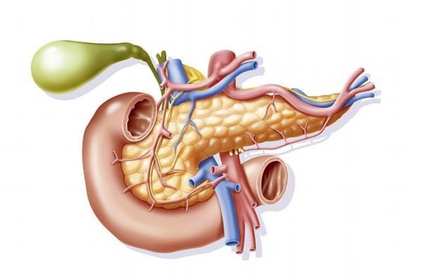 什么是胰腺癌呢 胰腺癌有什么危害呢