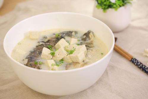 鯽魚豆腐湯能補(bǔ)鈣嗎 鯽魚牛奶湯怎么做好吃