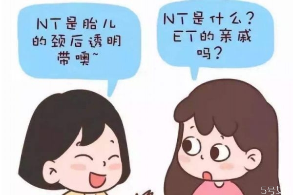 nt檢查可以什么時候做 nt檢查什么時候做最準確