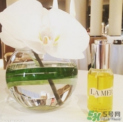 lamer海藍之謎精華油多少錢？海藍之謎renewal oil面油價格