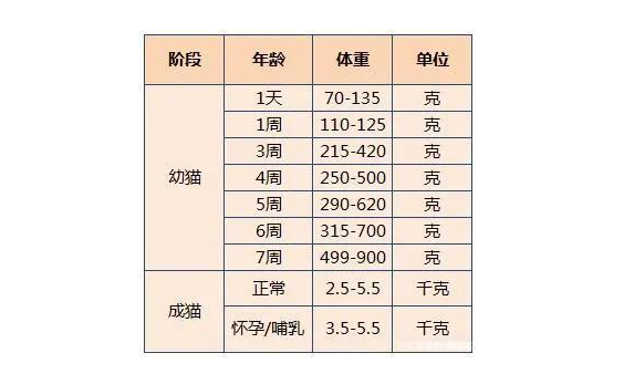 3個(gè)月小貓的正常體重 貓咪體重年齡對照表