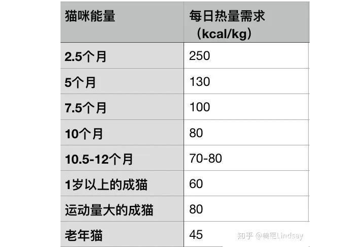 3個(gè)月小貓的正常體重 貓咪體重年齡對照表