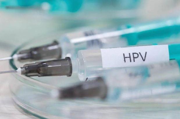 hpv疫苗懷孕致畸 hpv疫苗懷孕可以打嗎