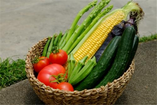 夏季吃什么蔬菜好 夏季有什么蔬菜是當季的