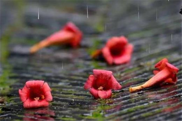 梅雨季節(jié)什么時(shí)候開窗通風(fēng)最好 梅雨季節(jié)開窗通風(fēng)好不好