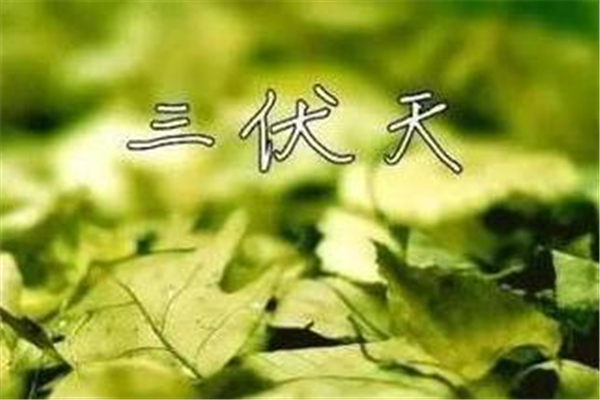 入伏除濕的好處 入伏喝什么去濕氣