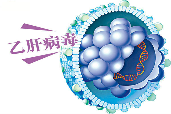 乙肝有什么明顯癥狀 乙肝攜帶者會傳染人嗎