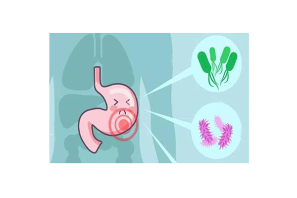 慢性胃炎需要長期吃藥嗎 慢性胃炎用藥原則