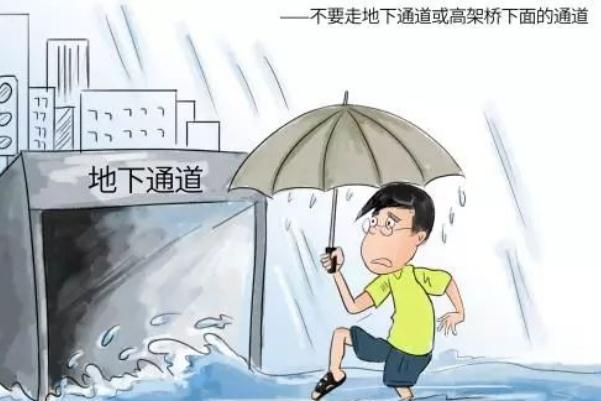 鄭州發(fā)暴雨預警后車停滿高架 暴雨應急自救常識