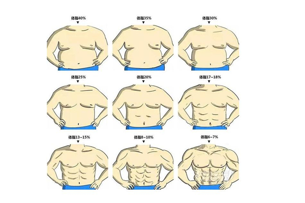 體脂率是脂肪率嗎 體脂率是怎么測(cè)出來的