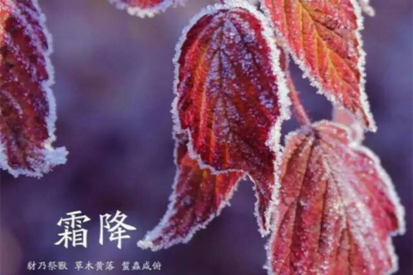 霜降的節(jié)氣含義是什么 霜降是幾月幾日2021年