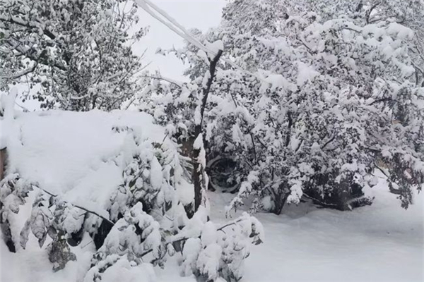 降雪需要什么條件 降雪一般達(dá)到多少度