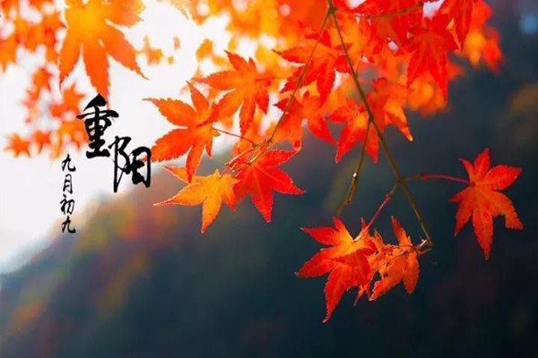 重陽(yáng)節(jié)為什么要吃重陽(yáng)糕 重陽(yáng)節(jié)吃重陽(yáng)糕有什么寓意