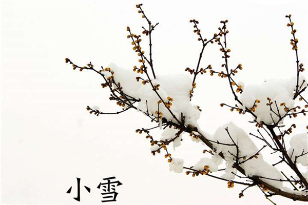 小雪是幾月幾日 小雪節(jié)氣的由來和風(fēng)俗