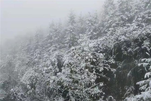 降雪的必要條件 降雪量的等級標準